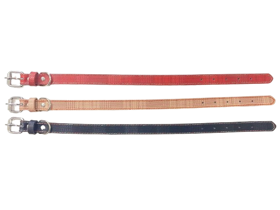 Περιλαίμιο - Κολάρο σκύλου - 3x56cm - 12pcs - 550196