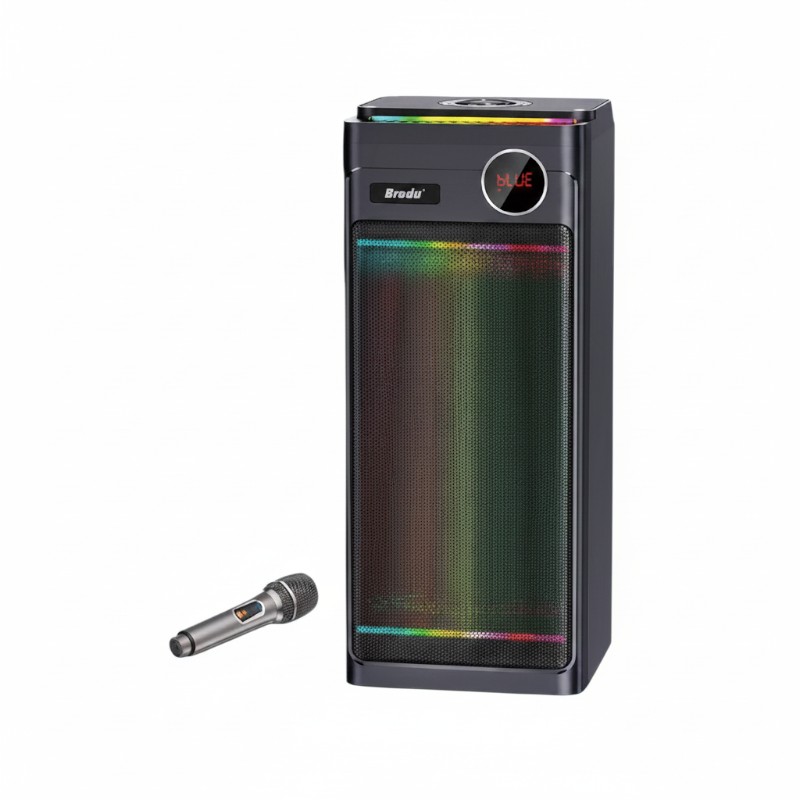 Φορητό ηχείο subwoofer με μικρόφωνο Karaoke - BTS-2243 - 722435